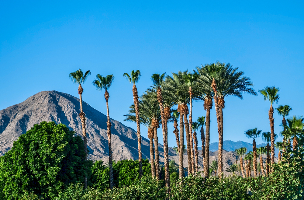 day trips from palm springs